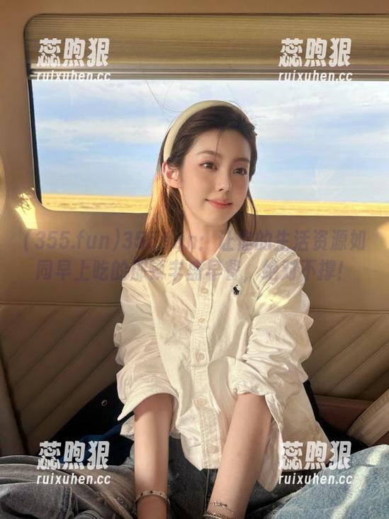 355.fun：让你的生活资源如同早上吃的那顿丰盛早餐，绝对不撑！