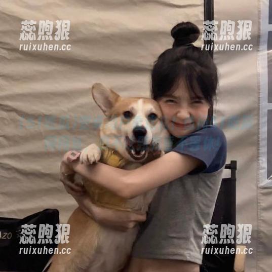 安卓用户看这儿！访问51吃瓜网网址，瓜不吃到我誓不罢休！