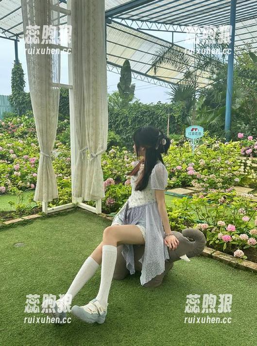 吃瓜黑网 赐我一颗,“吃瓜黑网”ios版更上天,想看啥都有!
