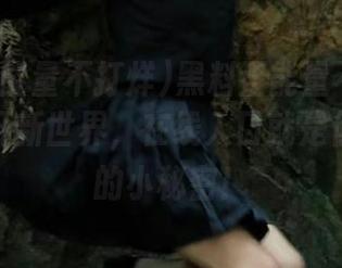 黑料正能量不打烊苹果版打开新世界，在线入口就是你我之间的小秘密！